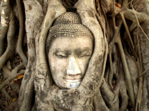 the_buddha_head_encircled_by_roots_symbolizes_the_buddhist_teaching_of_hopelessness